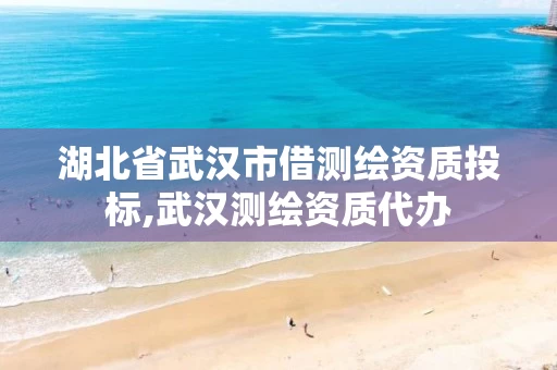湖北省武汉市借测绘资质投标,武汉测绘资质代办 湖北省武汉市借测绘资质投标,武汉测绘资质代办