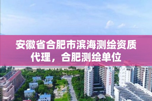 安徽省合肥市滨海测绘资质代理，合肥测绘单位