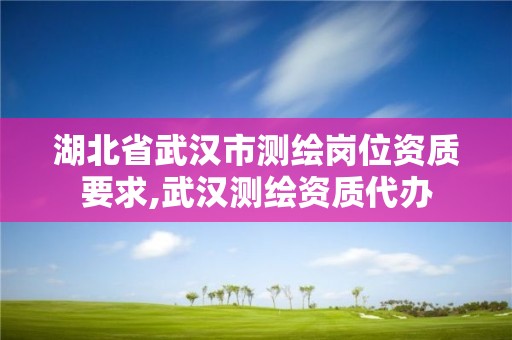 湖北省武汉市测绘岗位资质要求,武汉测绘资质代办