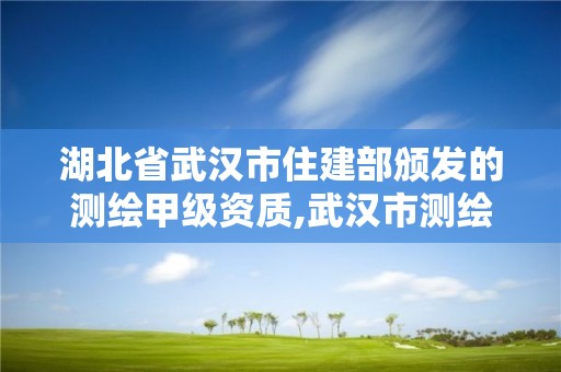 湖北省武汉市住建部颁发的测绘甲级资质,武汉市测绘工程技术规定。