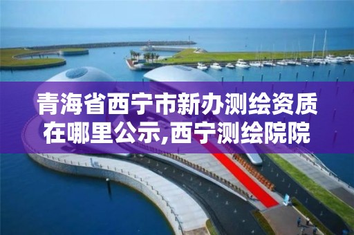 青海省西宁市新办测绘资质在哪里公示,西宁测绘院院长公示。