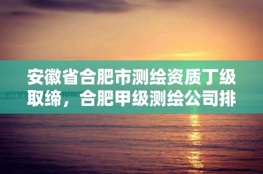 安徽省合肥市测绘资质丁级取缔，合肥甲级测绘公司排行