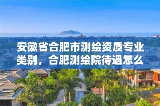 安徽省合肥市测绘资质专业类别，合肥测绘院待遇怎么样