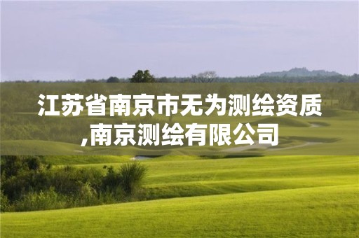 江苏省南京市无为测绘资质,南京测绘有限公司