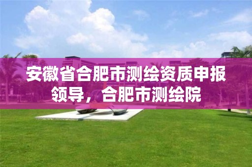 安徽省合肥市测绘资质申报领导，合肥市测绘院