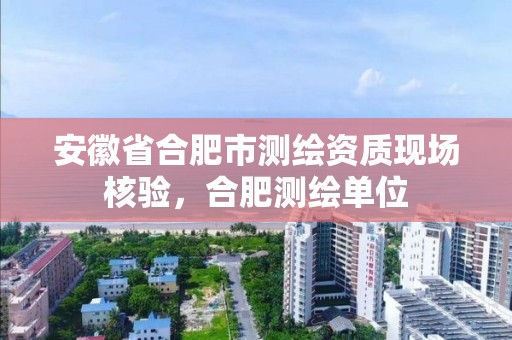 安徽省合肥市测绘资质现场核验，合肥测绘单位