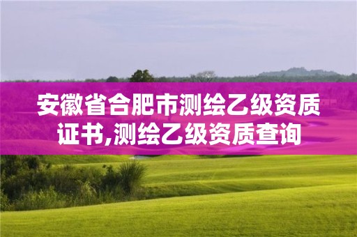 安徽省合肥市测绘乙级资质证书,测绘乙级资质查询