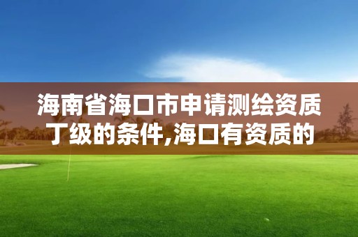 海南省海口市申请测绘资质丁级的条件,海口有资质的测绘公司