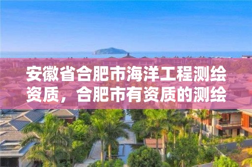 安徽省合肥市海洋工程测绘资质，合肥市有资质的测绘公司