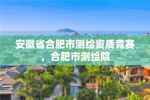 安徽省合肥市测绘资质竞赛，合肥市测绘院