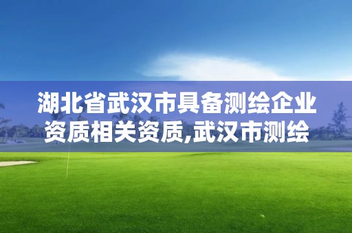 湖北省武汉市具备测绘企业资质相关资质,武汉市测绘院怎么样