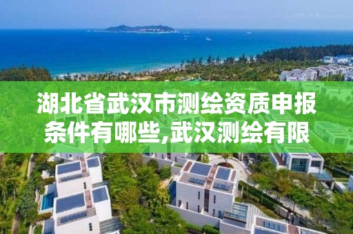 湖北省武汉市测绘资质申报条件有哪些,武汉测绘有限公司。