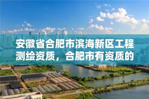 安徽省合肥市滨海新区工程测绘资质，合肥市有资质的测绘公司