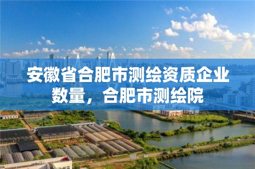 安徽省合肥市测绘资质企业数量，合肥市测绘院