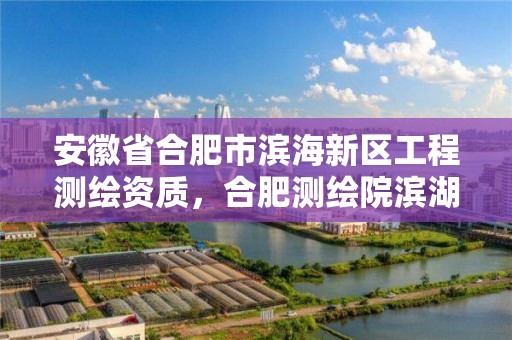 安徽省合肥市滨海新区工程测绘资质，合肥测绘院滨湖分院