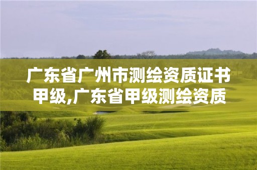 广东省广州市测绘资质证书甲级,广东省甲级测绘资质单位有多少。