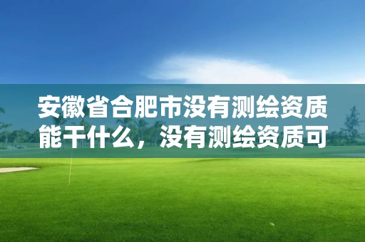 安徽省合肥市没有测绘资质能干什么，没有测绘资质可以开测绘发票吗