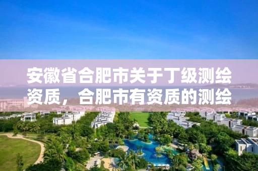 安徽省合肥市关于丁级测绘资质,合肥市有资质的测绘公司 安徽省合肥市关于丁级测绘资质,合肥市有资质的测绘公司