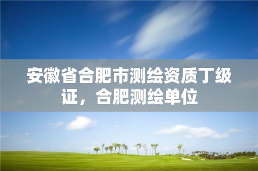 安徽省合肥市测绘资质丁级证，合肥测绘单位