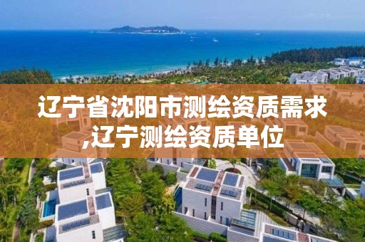 辽宁省沈阳市测绘资质需求,辽宁测绘资质单位