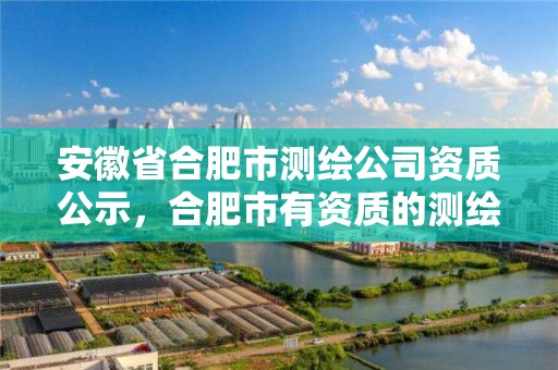 安徽省合肥市测绘公司资质公示，合肥市有资质的测绘公司