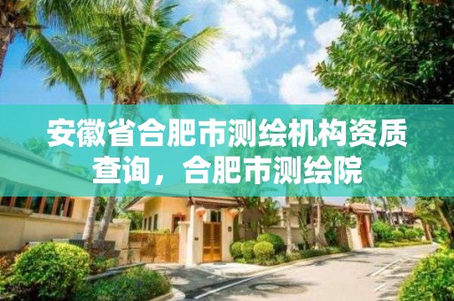 安徽省合肥市测绘机构资质查询，合肥市测绘院