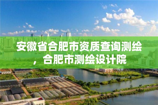 安徽省合肥市资质查询测绘，合肥市测绘设计院