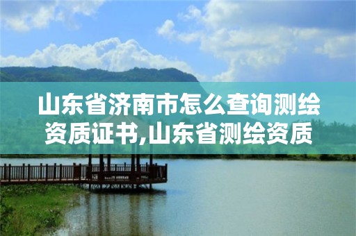 山东省济南市怎么查询测绘资质证书,山东省测绘资质专用章图片。