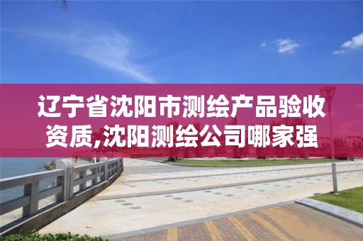 辽宁省沈阳市测绘产品验收资质,沈阳测绘公司哪家强哪家好