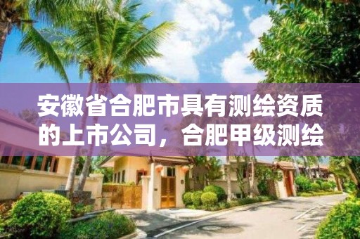 安徽省合肥市具有测绘资质的上市公司，合肥甲级测绘公司排行