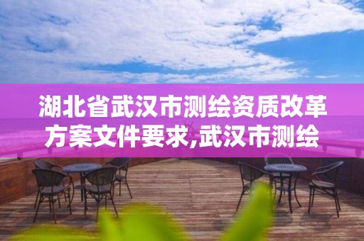 湖北省武汉市测绘资质改革方案文件要求,武汉市测绘勘察设计甲级资质公司