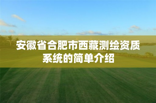 安徽省合肥市西藏测绘资质系统的简单介绍