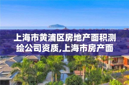 上海市黄浦区房地产面积测绘公司资质,上海市房产面积测绘规范。