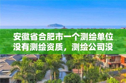 安徽省合肥市一个测绘单位没有测绘资质，测绘公司没有资质可以开展业务吗