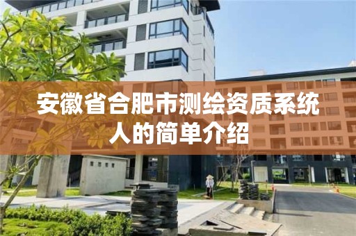 安徽省合肥市测绘资质系统人的简单介绍