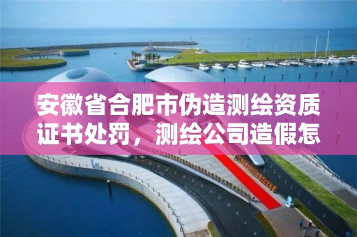 安徽省合肥市伪造测绘资质证书处罚，测绘公司造假怎么处理