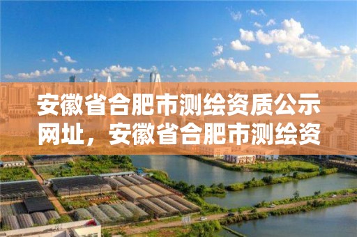 安徽省合肥市测绘资质公示网址，安徽省合肥市测绘资质公示网址是什么