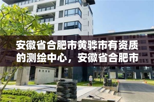 安徽省合肥市黄骅市有资质的测绘中心，安徽省合肥市黄骅市有资质的测绘中心吗