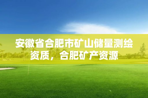 安徽省合肥市矿山储量测绘资质，合肥矿产资源