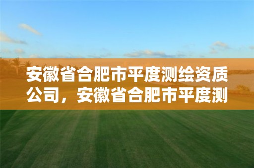 安徽省合肥市平度测绘资质公司，安徽省合肥市平度测绘资质公司有哪些