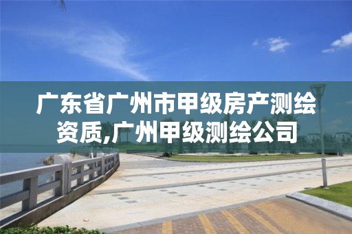 广东省广州市甲级房产测绘资质,广州甲级测绘公司