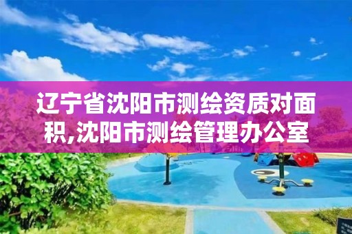 辽宁省沈阳市测绘资质对面积,沈阳市测绘管理办公室