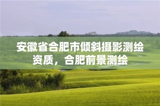 安徽省合肥市倾斜摄影测绘资质,合肥前景测绘 安徽省合肥市倾斜摄影测绘资质,合肥前景测绘