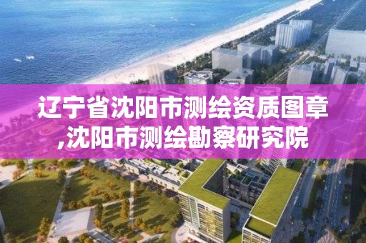 辽宁省沈阳市测绘资质图章,沈阳市测绘勘察研究院