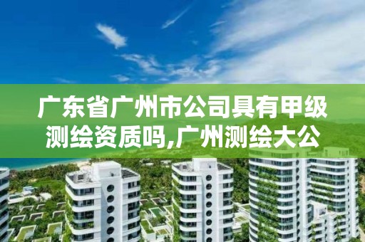 广东省广州市公司具有甲级测绘资质吗,广州测绘大公司有哪些。