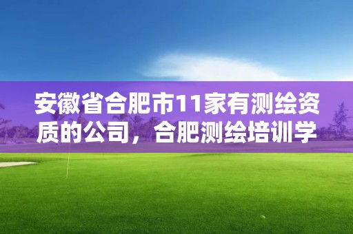 安徽省合肥市11家有测绘资质的公司，合肥测绘培训学校