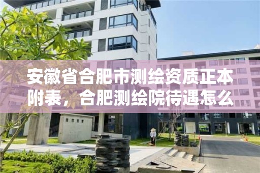 安徽省合肥市测绘资质正本附表，合肥测绘院待遇怎么样