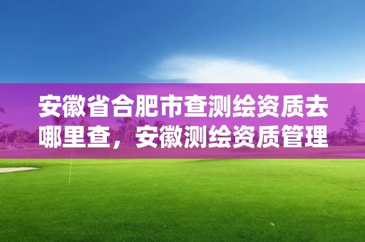 安徽省合肥市查测绘资质去哪里查，安徽测绘资质管理系统