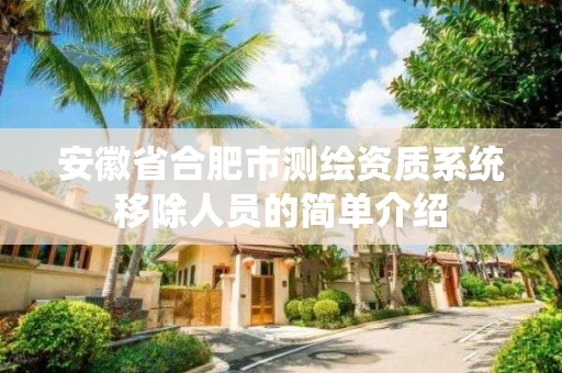 安徽省合肥市测绘资质系统移除人员的简单介绍