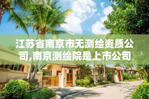 江苏省南京市无测绘资质公司,南京测绘院是上市公司吗